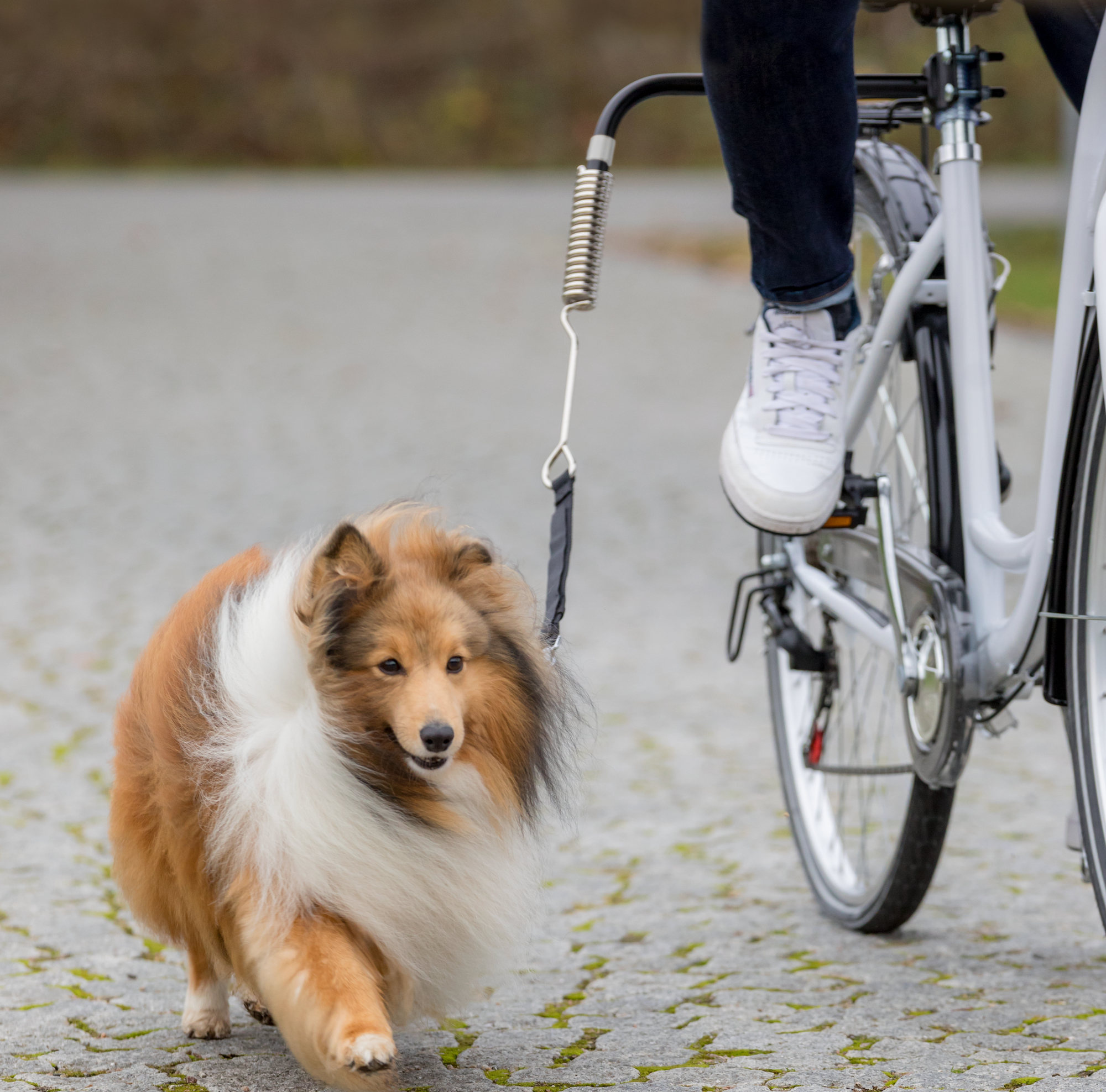 Trixie Hunde Biker-Set