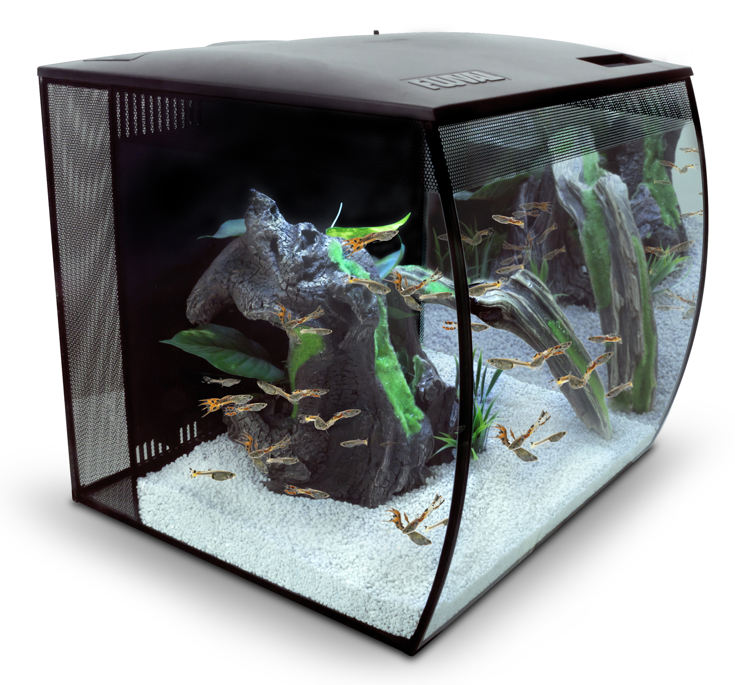 Fluval Flex 57 Liter schwarz Nano Aquarienset