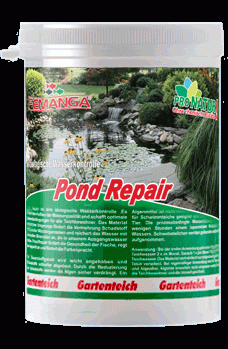 Femanga Pond Repair